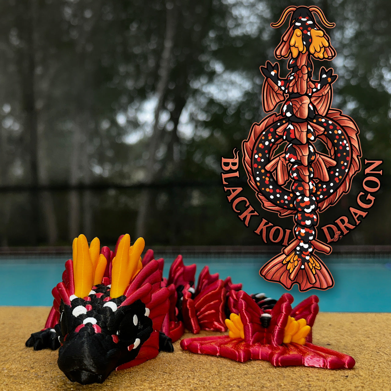 Koi Dragon Black