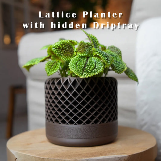 Lattice Planter