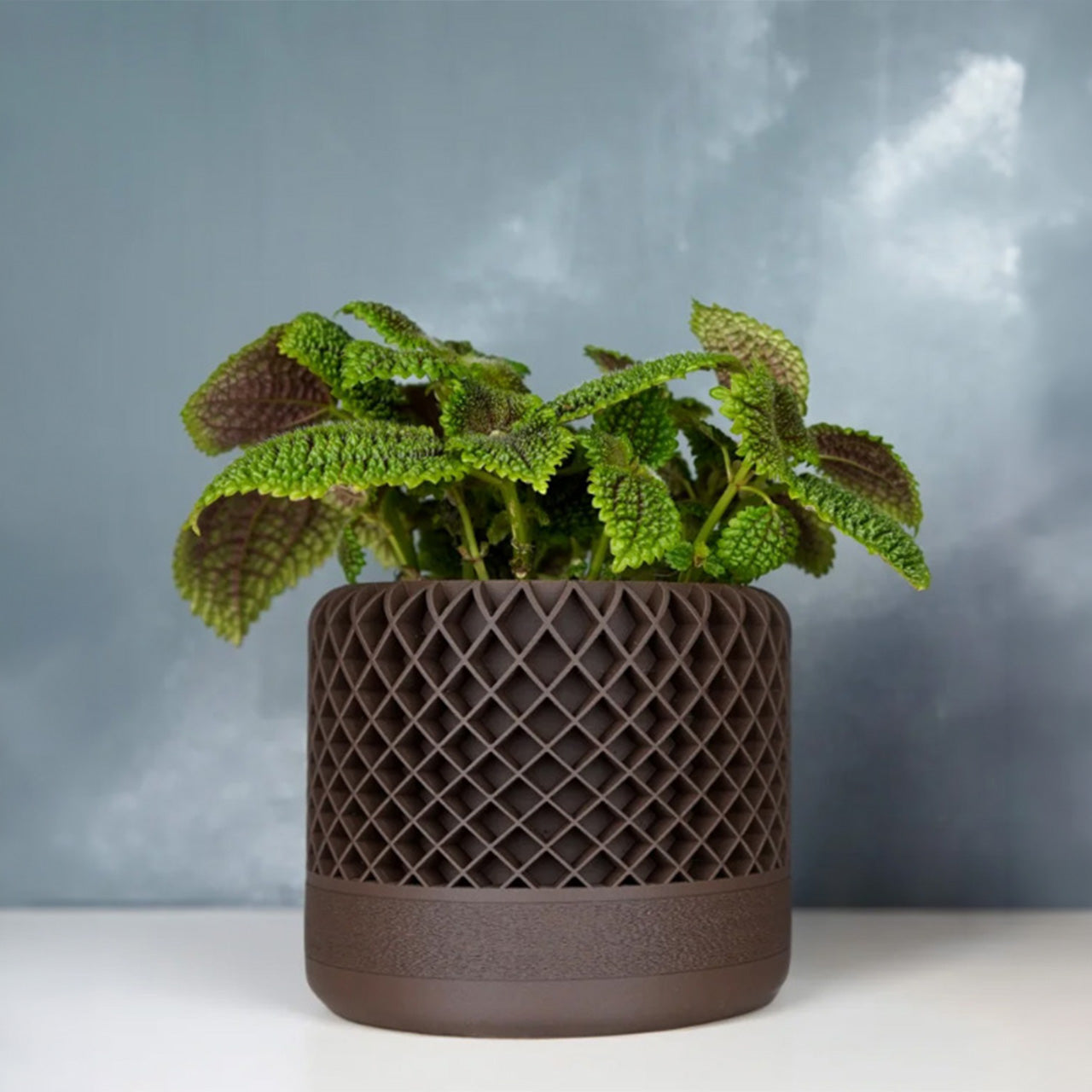 Lattice Planter