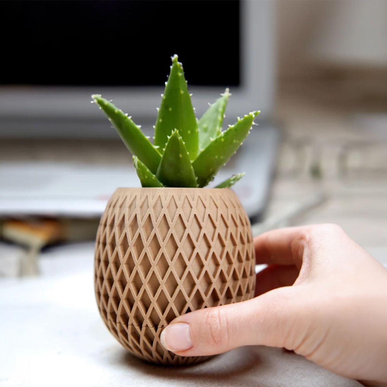 Pineapple Lattice Planter with Hidden Drip Tray