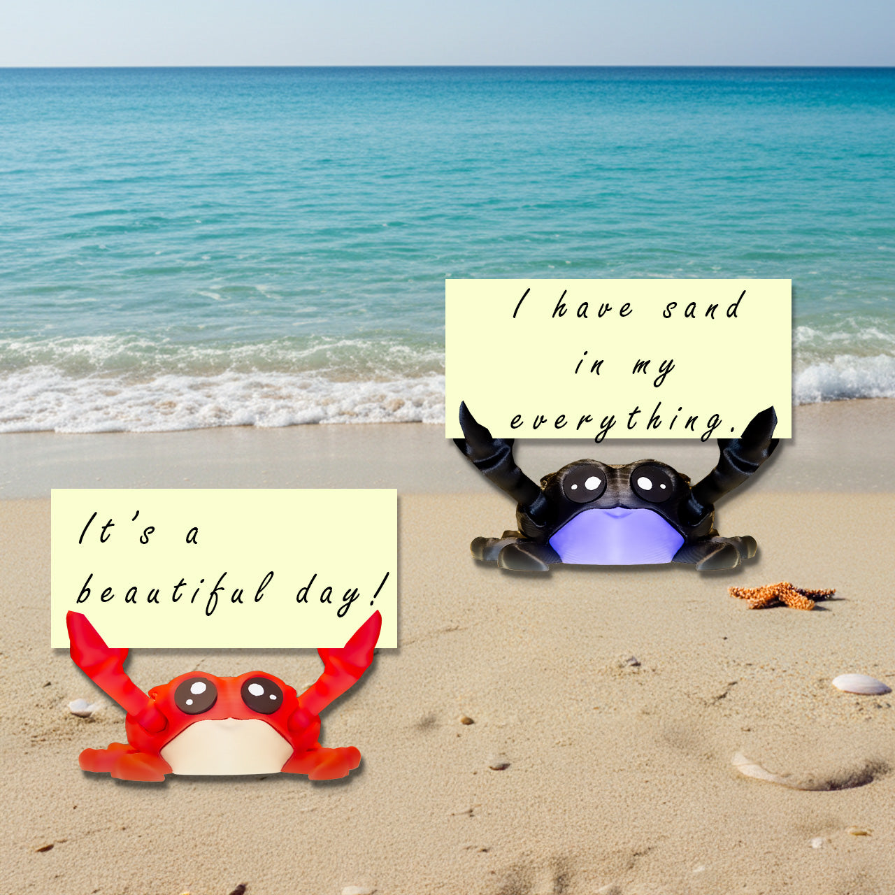 Salty the Grumpy Black Crab