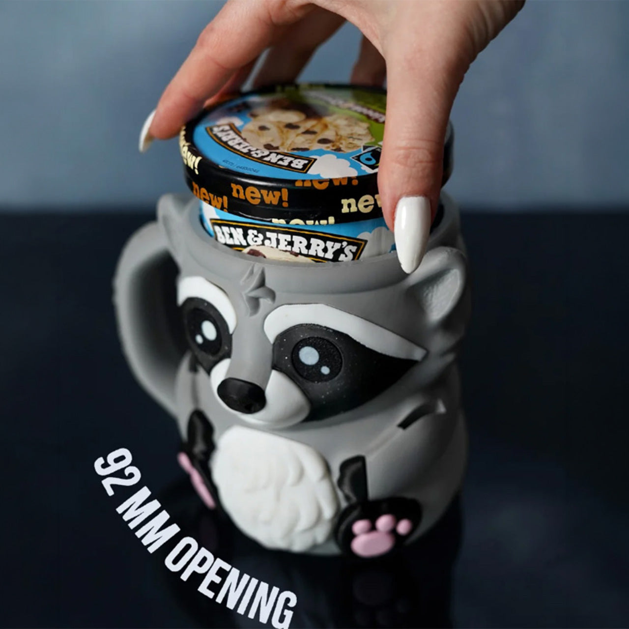 Rocky the Racoon Ice Cream Pint Holder
