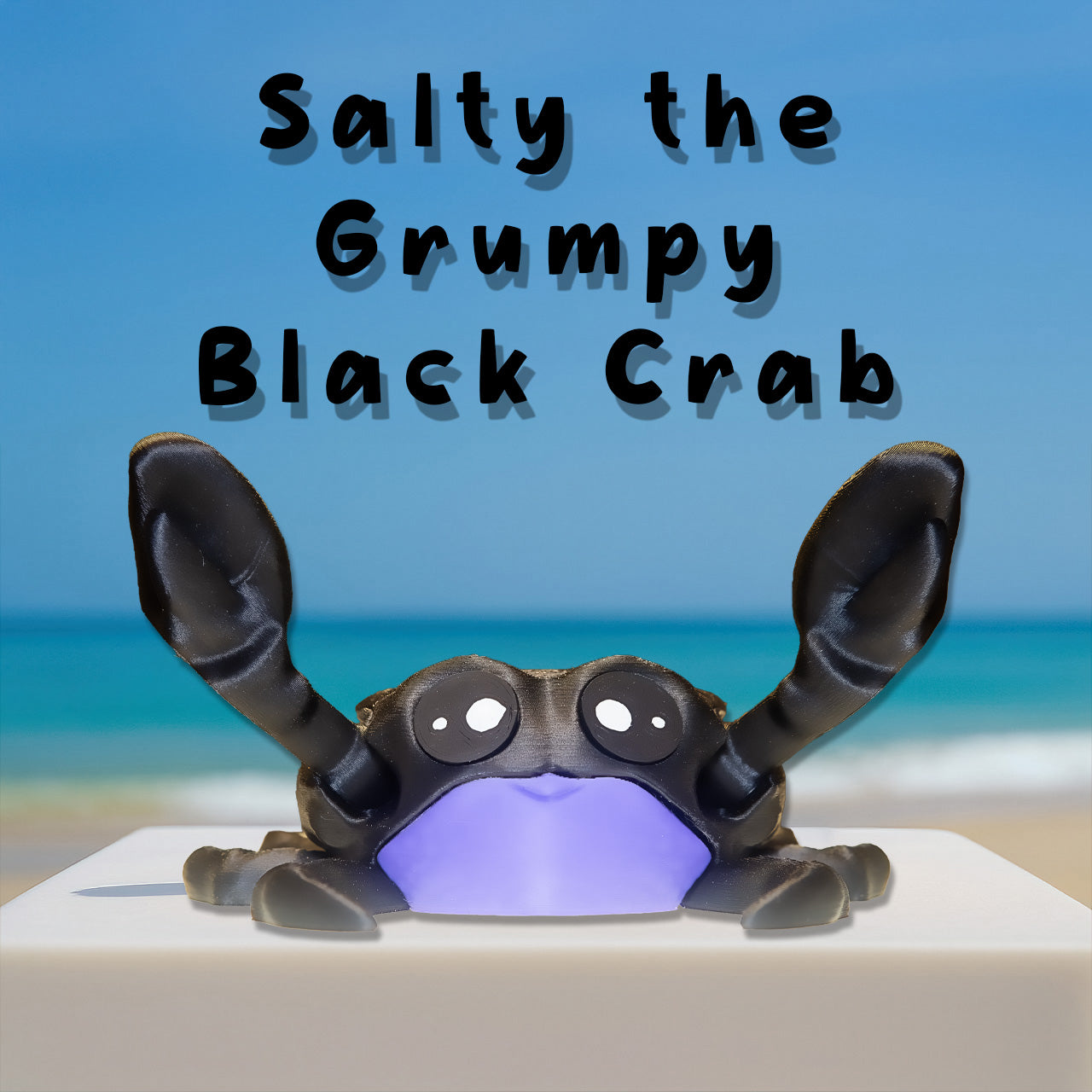 Salty the Grumpy Black Crab