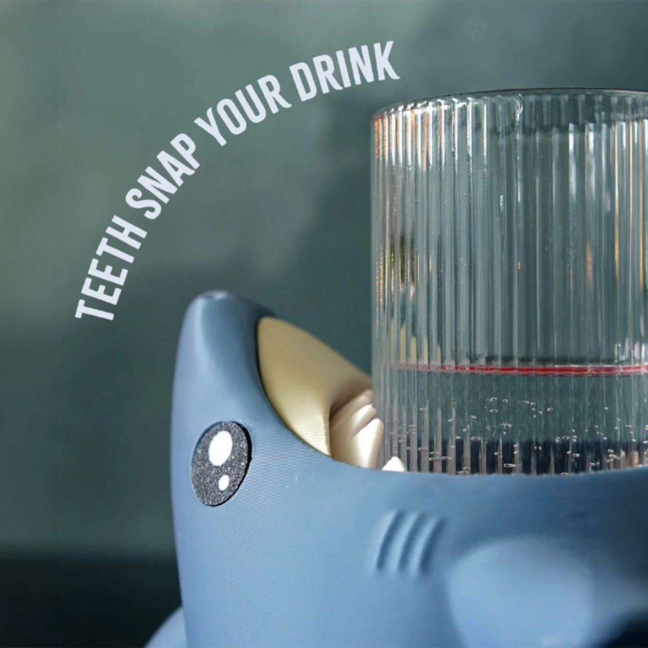 Stanley the Drink-Snapping Shark